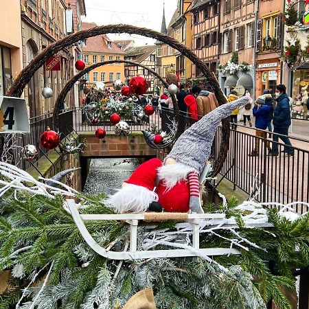 Les Suites Du Cygne Colmar Luaran gambar