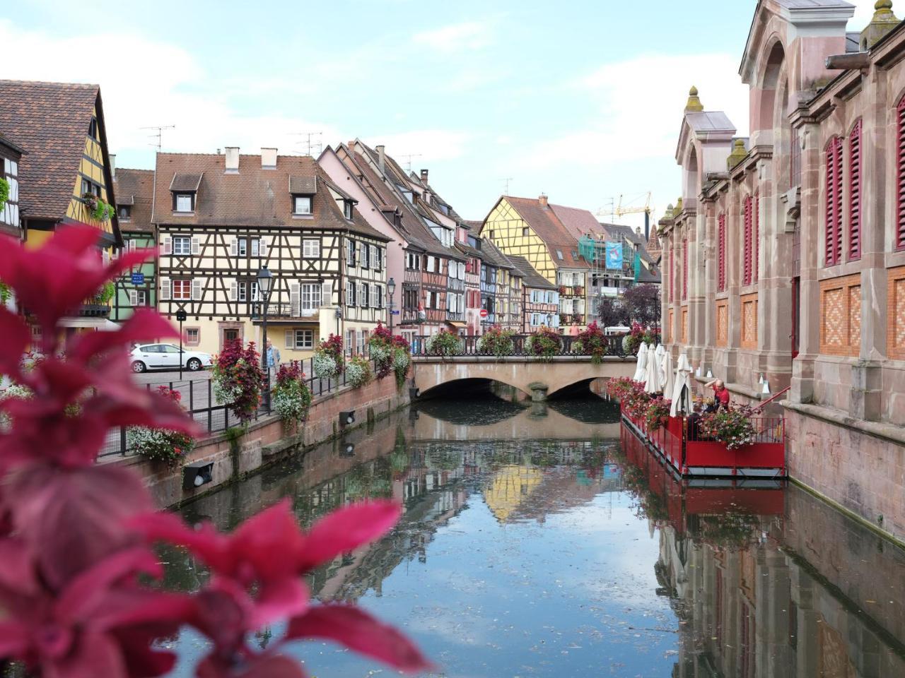 Les Suites Du Cygne Colmar Luaran gambar